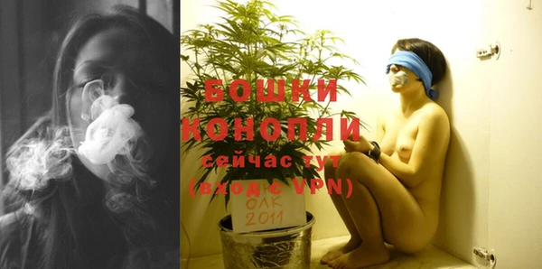 ALPHA-PVP Богородицк