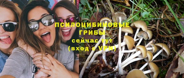 кристаллы Белокуриха